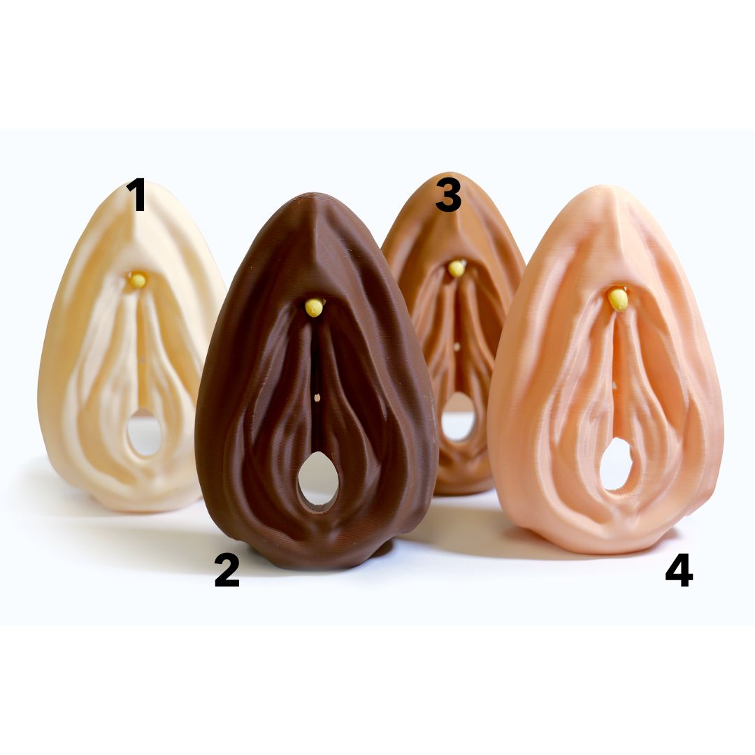 Birth Control Kit with Vulva Model