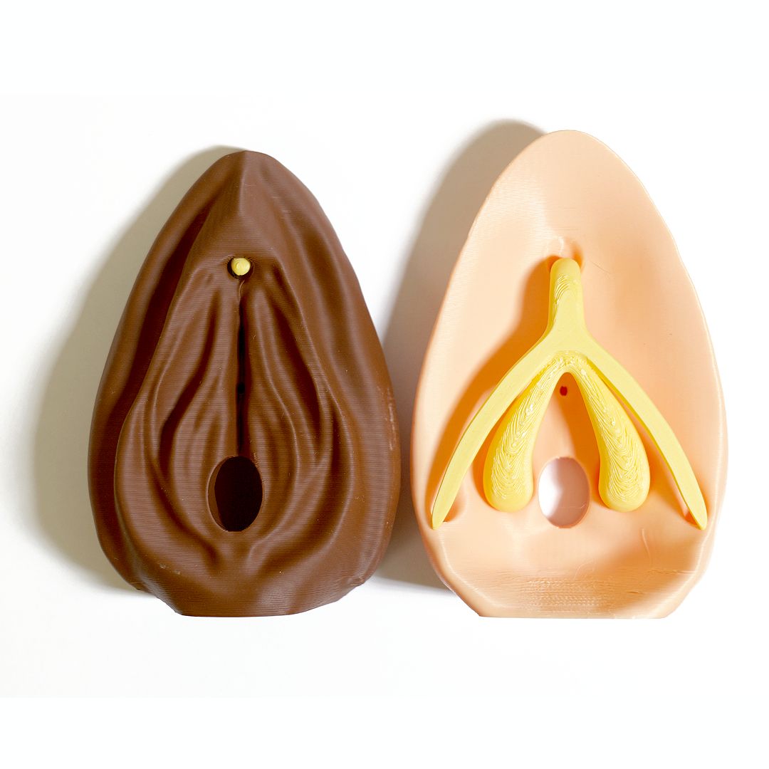 Birth Control Kit with Vulva Model