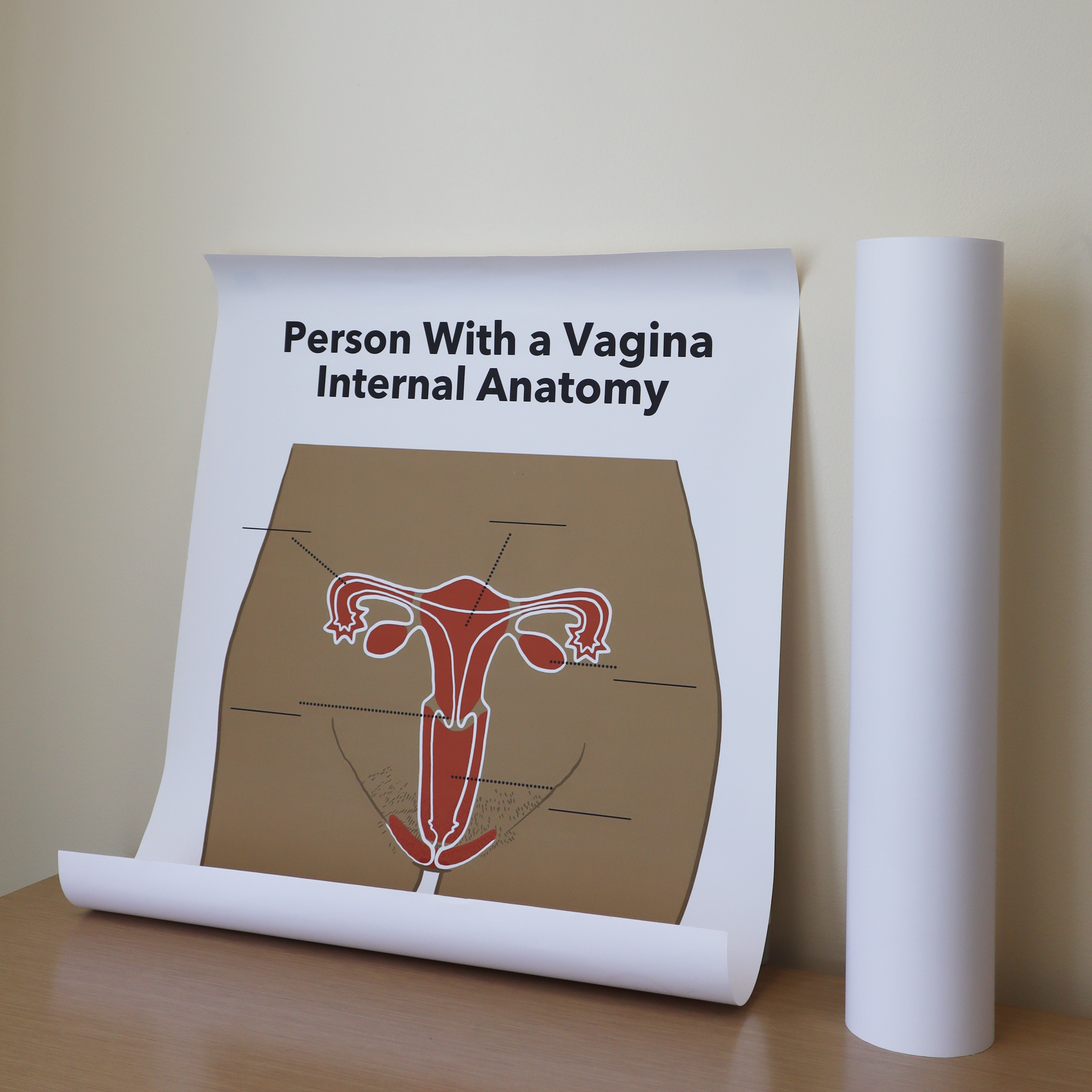 Anatomy Posters + Labels